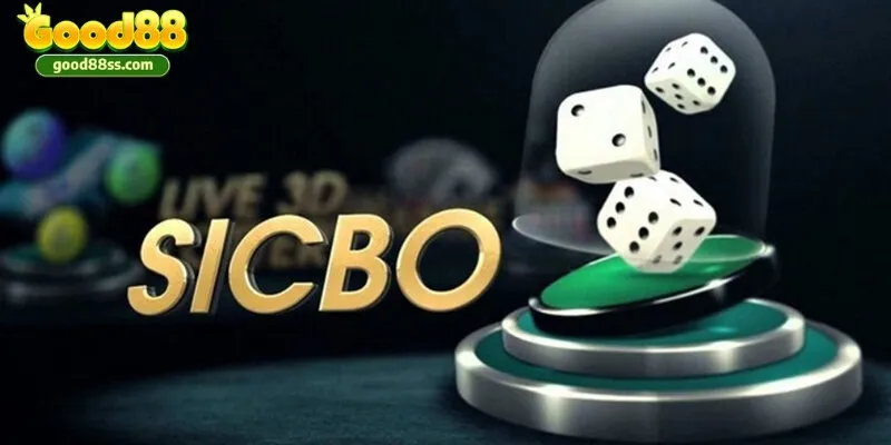 Sicbo Good88 - Nguyên tắc đặt cược Sicbo cơ bản đơn giản 1 doi net ve sicbo good88
